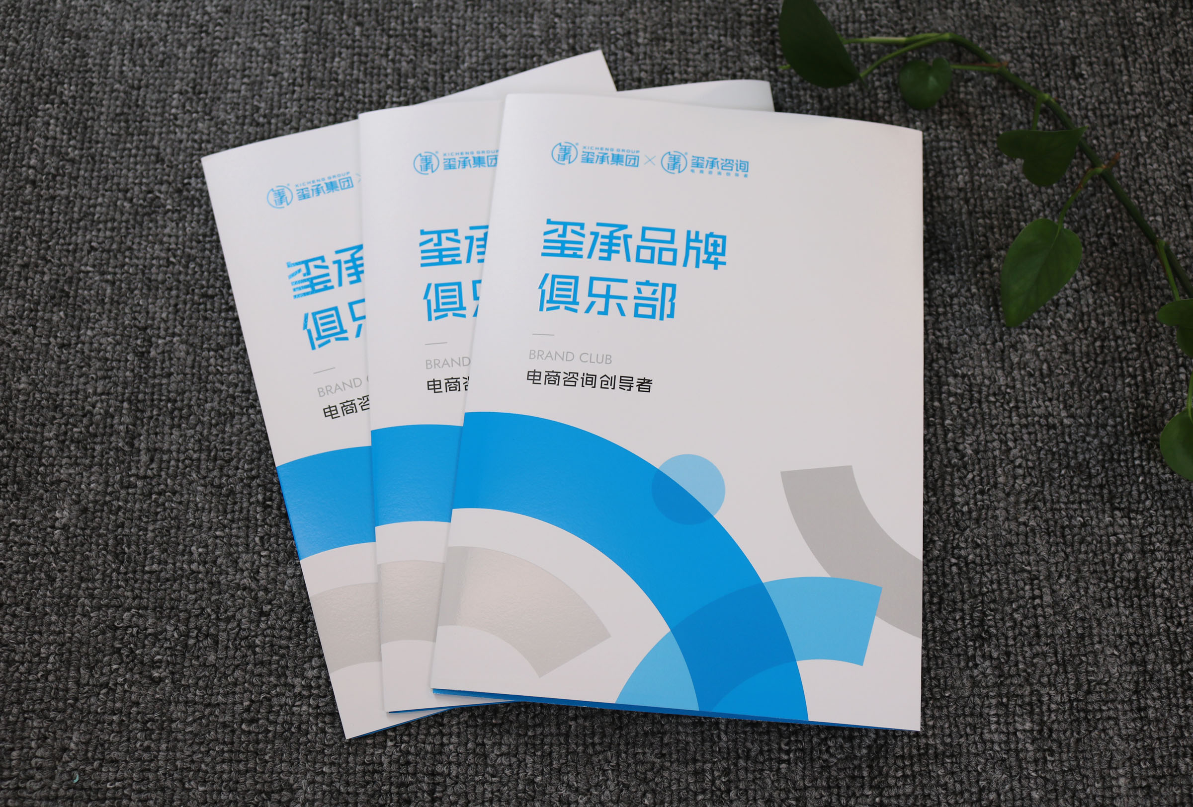 艺术纸四色印刷UV四折页