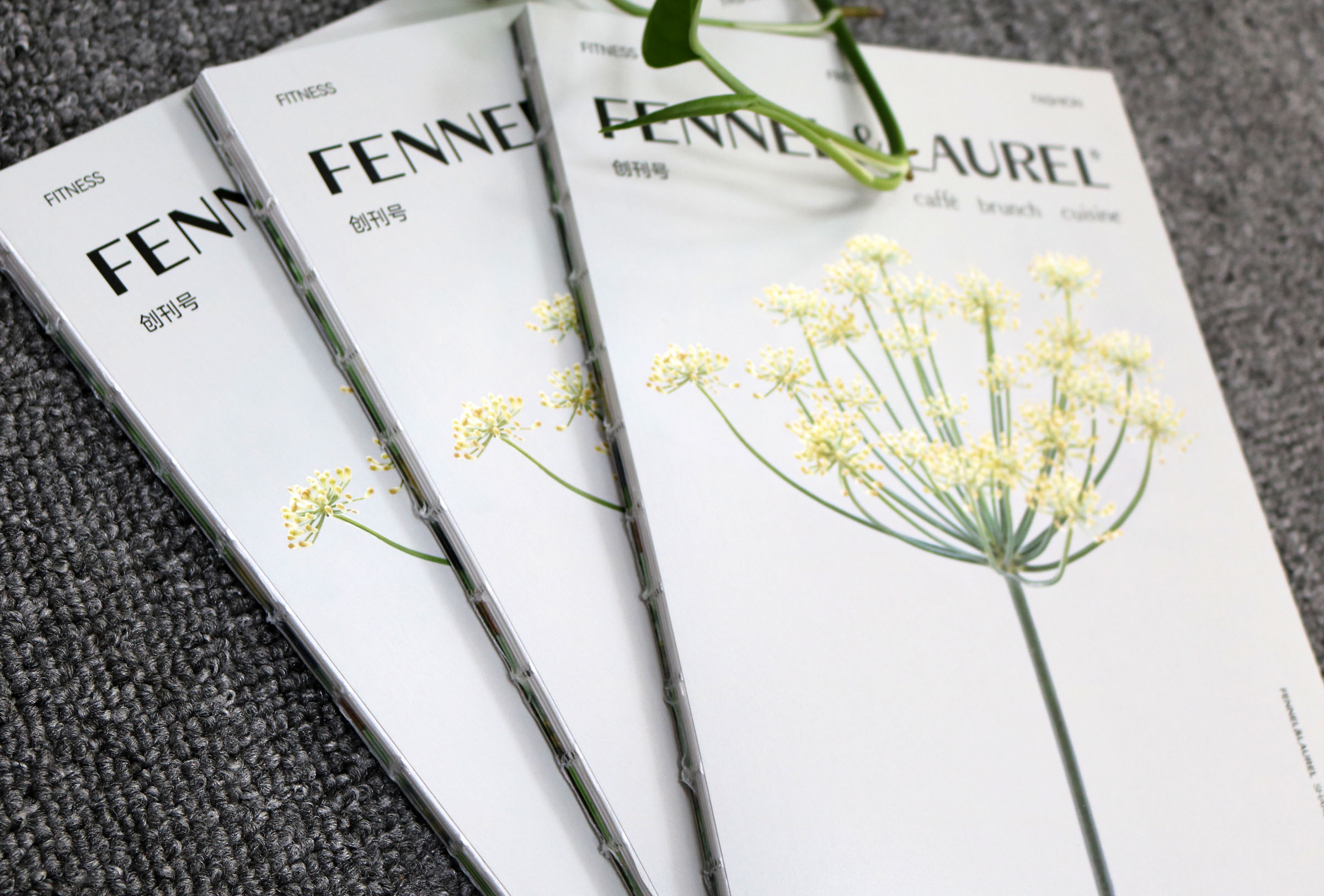 裸线装画册定制